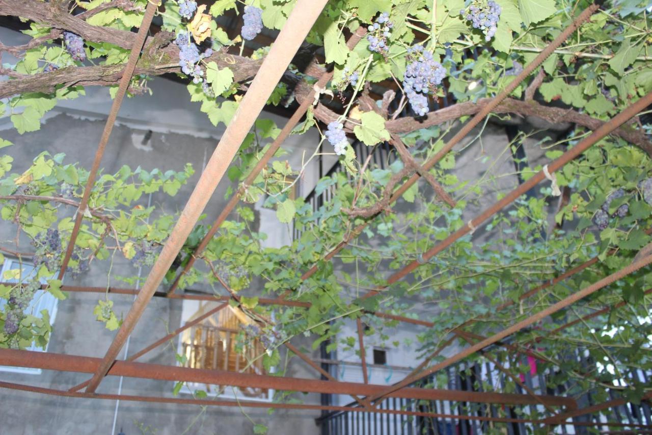 קוטאיסי Guest House Katerina מראה חיצוני תמונה
